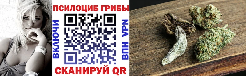 дарнет шоп ОМГ ОМГ ссылка Псилоцибиновые грибы Psilocybine cubensis Сальск